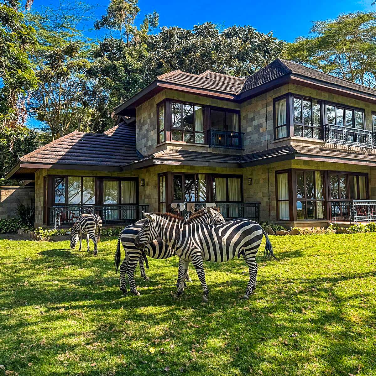 Naivasha Simba Lodge